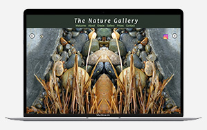 Nature Gallery