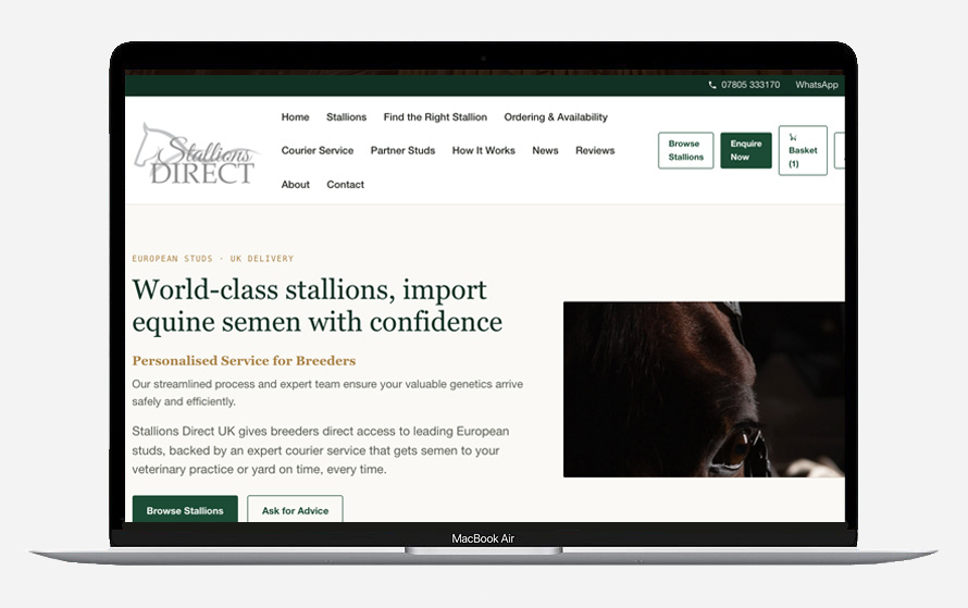 Stallions Direct